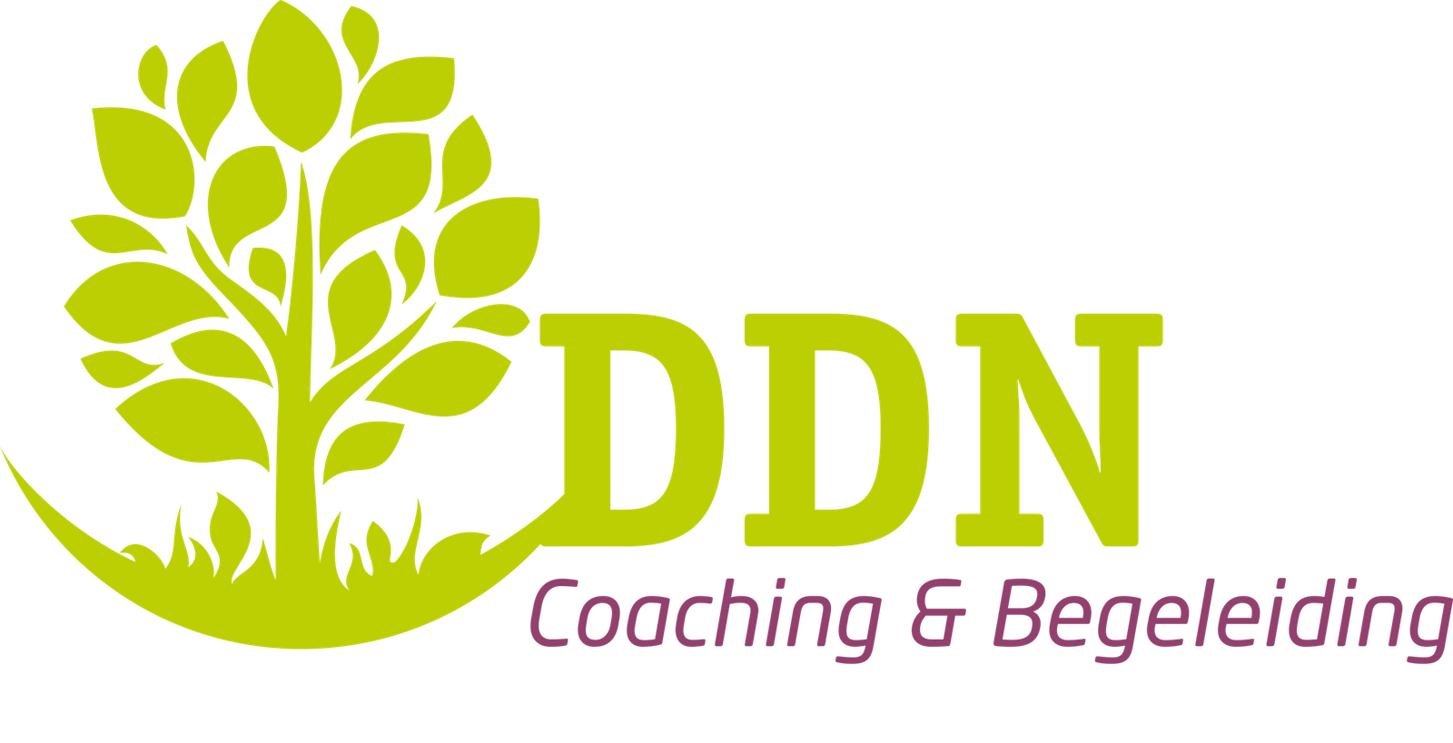 DDN Coaching en begeleiding in zorg